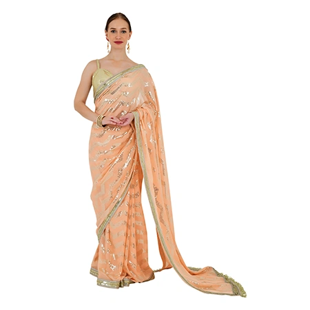  Women's Ethnic & Traditional Wear Photography in Delhi for Saree